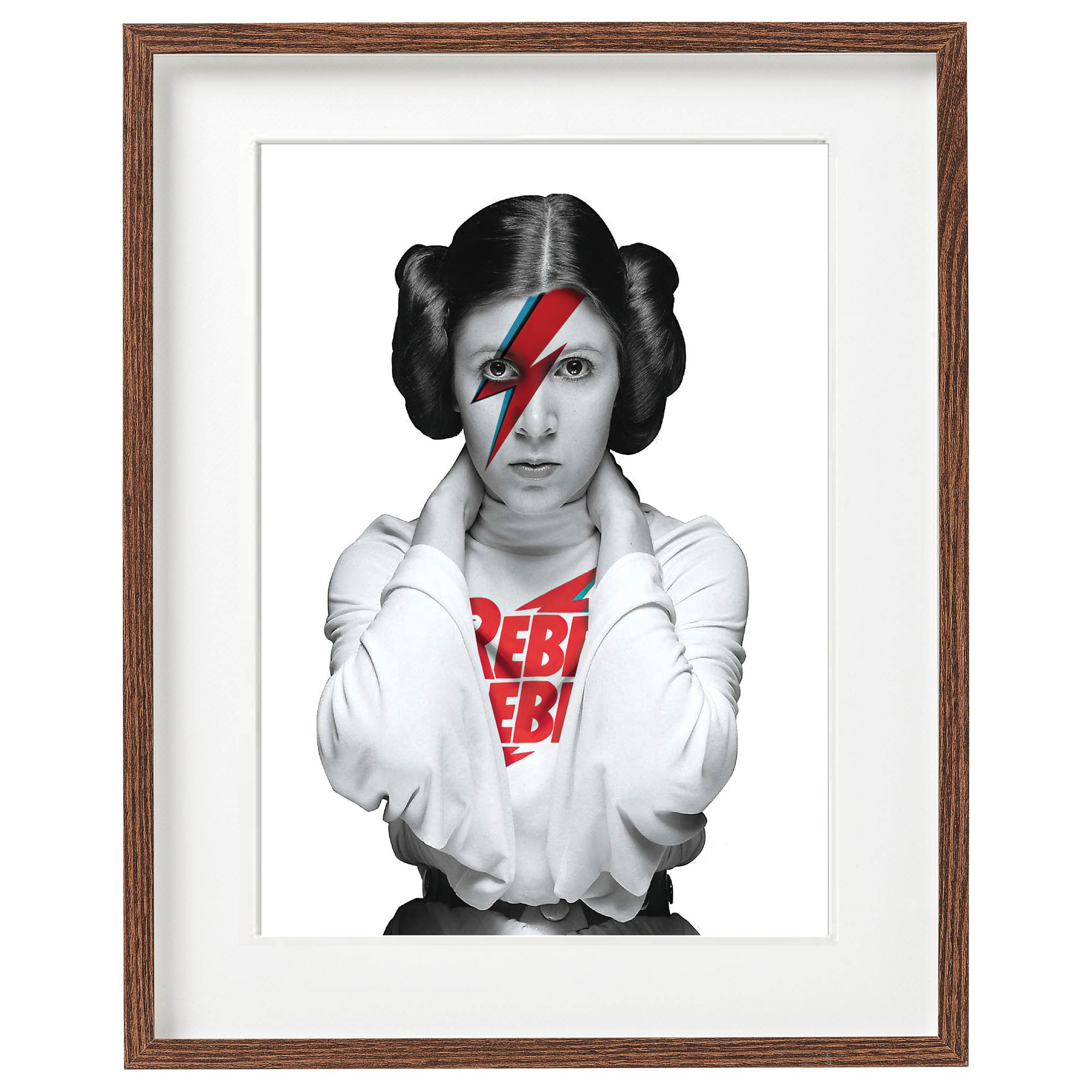 Princess Leia Rebel Bowie print